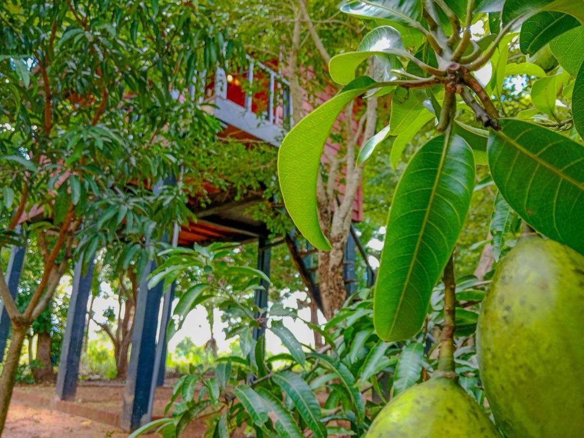 Ceylon Amigos Eco Resort Sigiriya Exterior foto