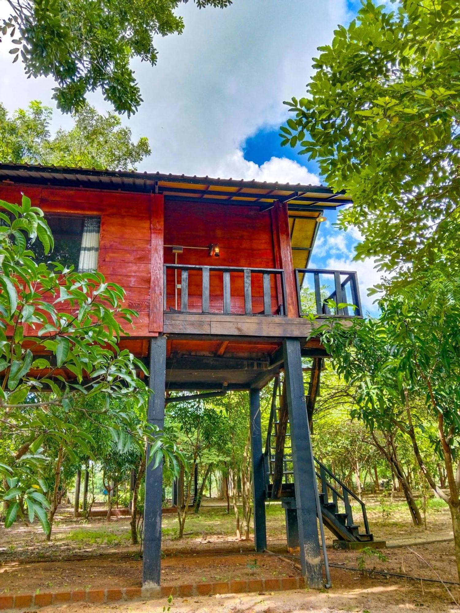 Ceylon Amigos Eco Resort Sigiriya Exterior foto
